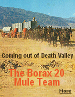 Between 1883 and 1889, the twenty mule teams hauled more than 20 million pounds of borax out of Death Valley, without the loss of a single animal or wagon. 